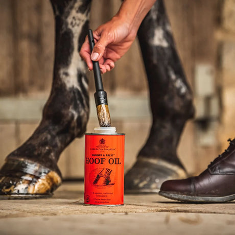 Pulizia degli zoccoli nel periodo invernale