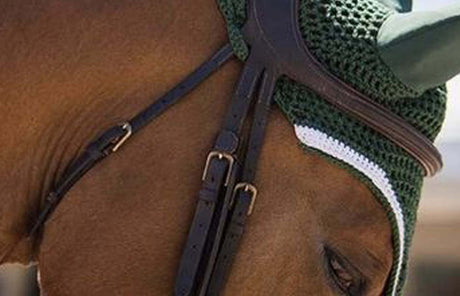 Testiera Dy’on DIFFERENCE che fa la differenza