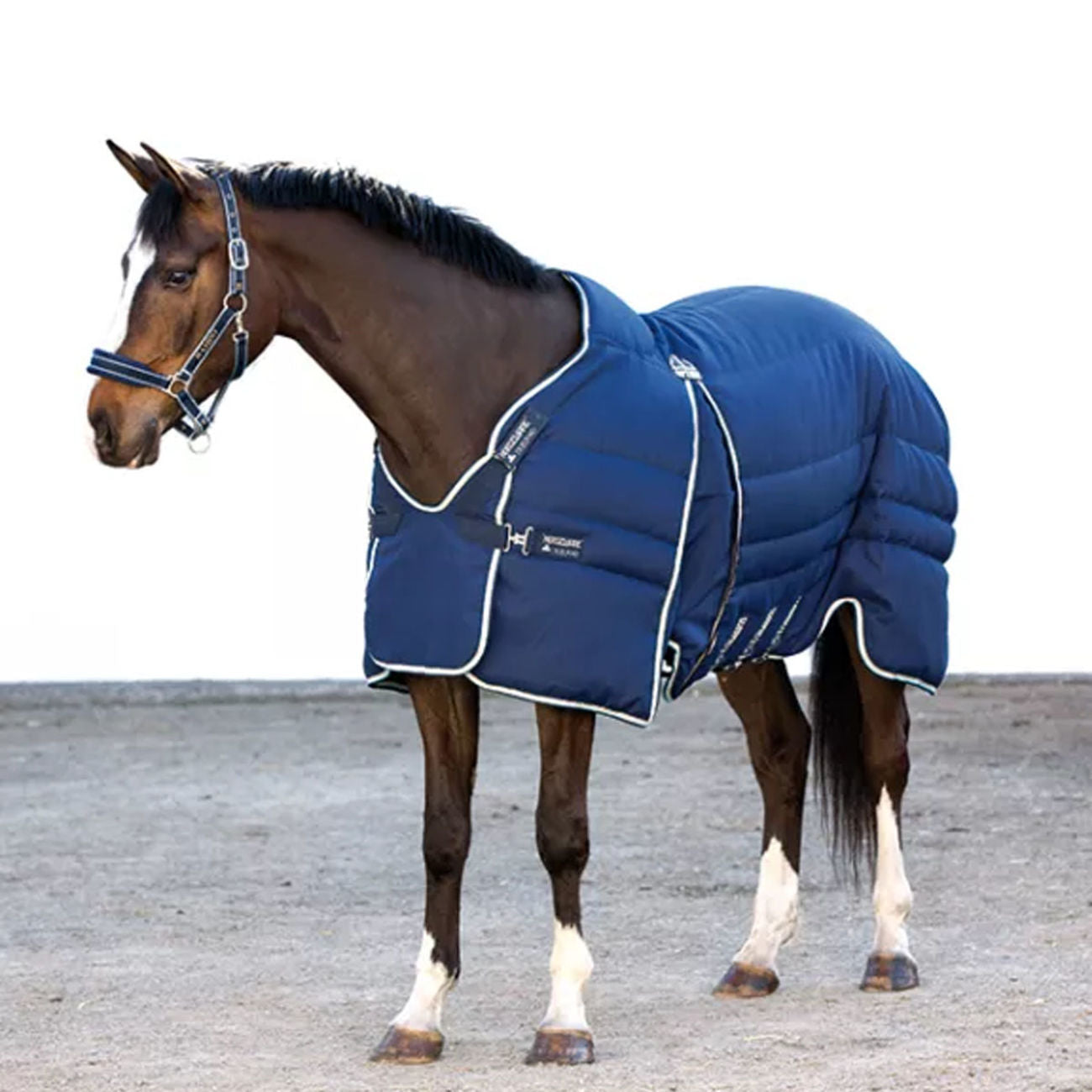 Coperte per Cavalli: comfort e la protezione durante l'inverno