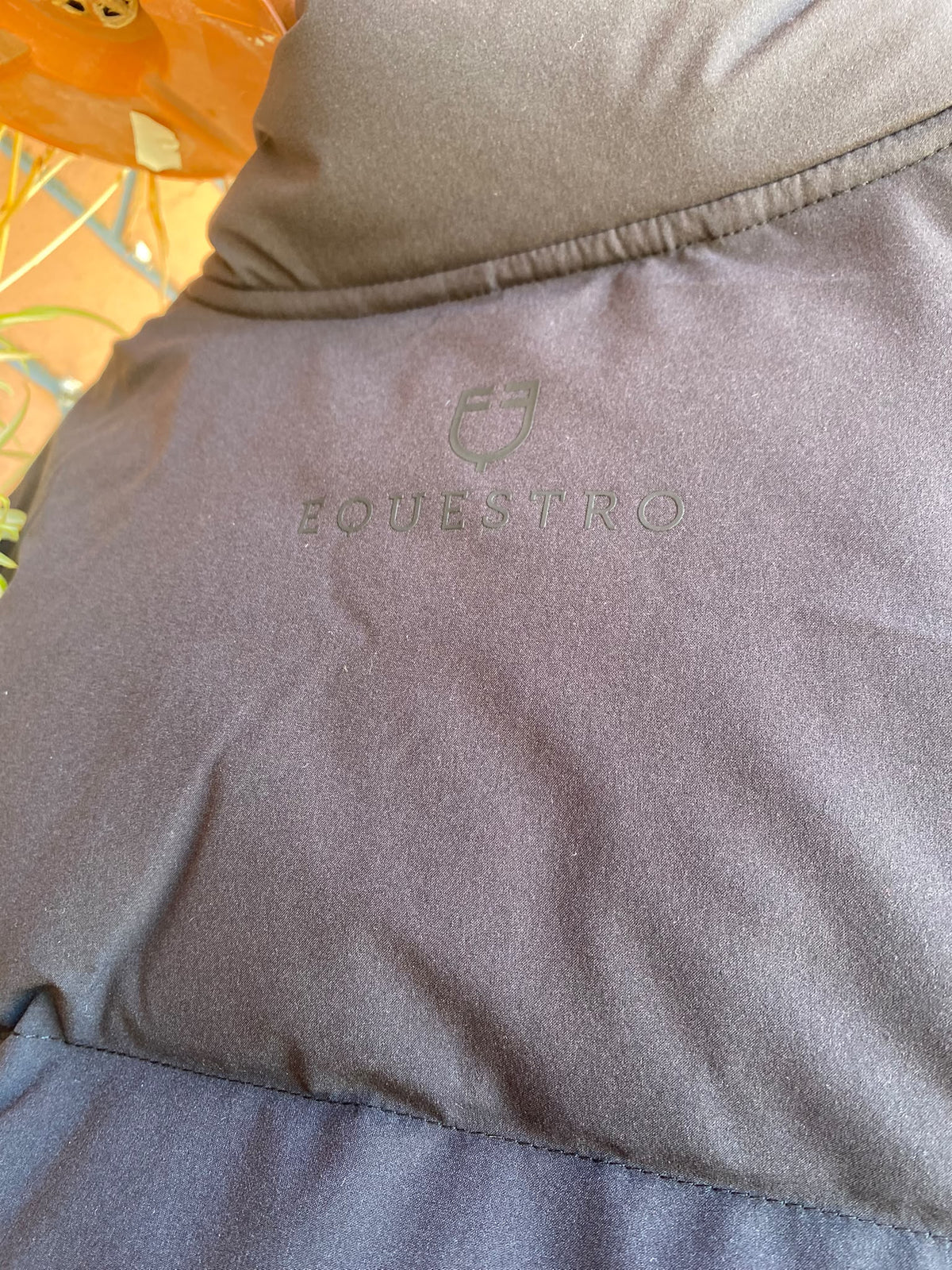Piumino da uomo Equestro