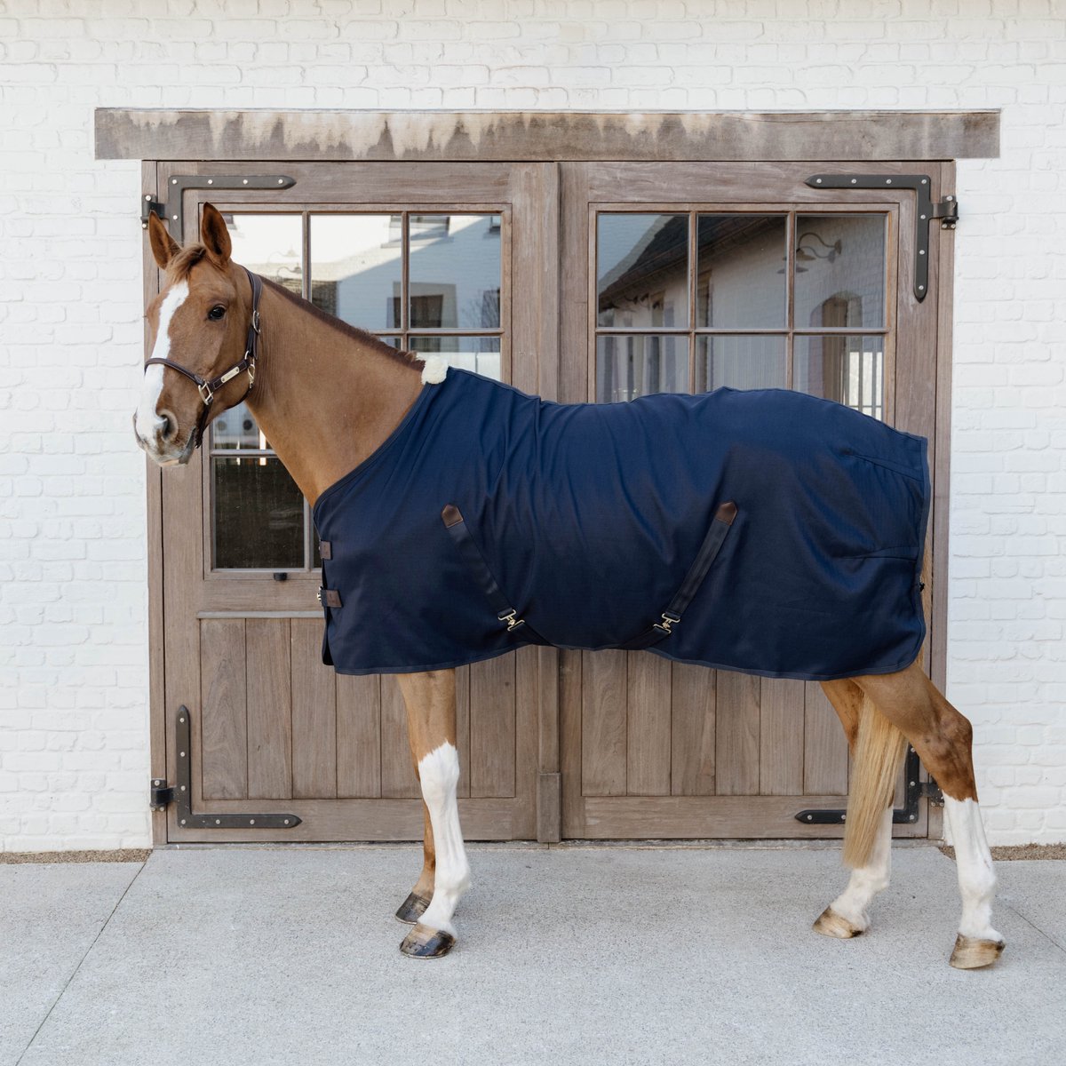 Coperta in cotone da box Kentucky navy