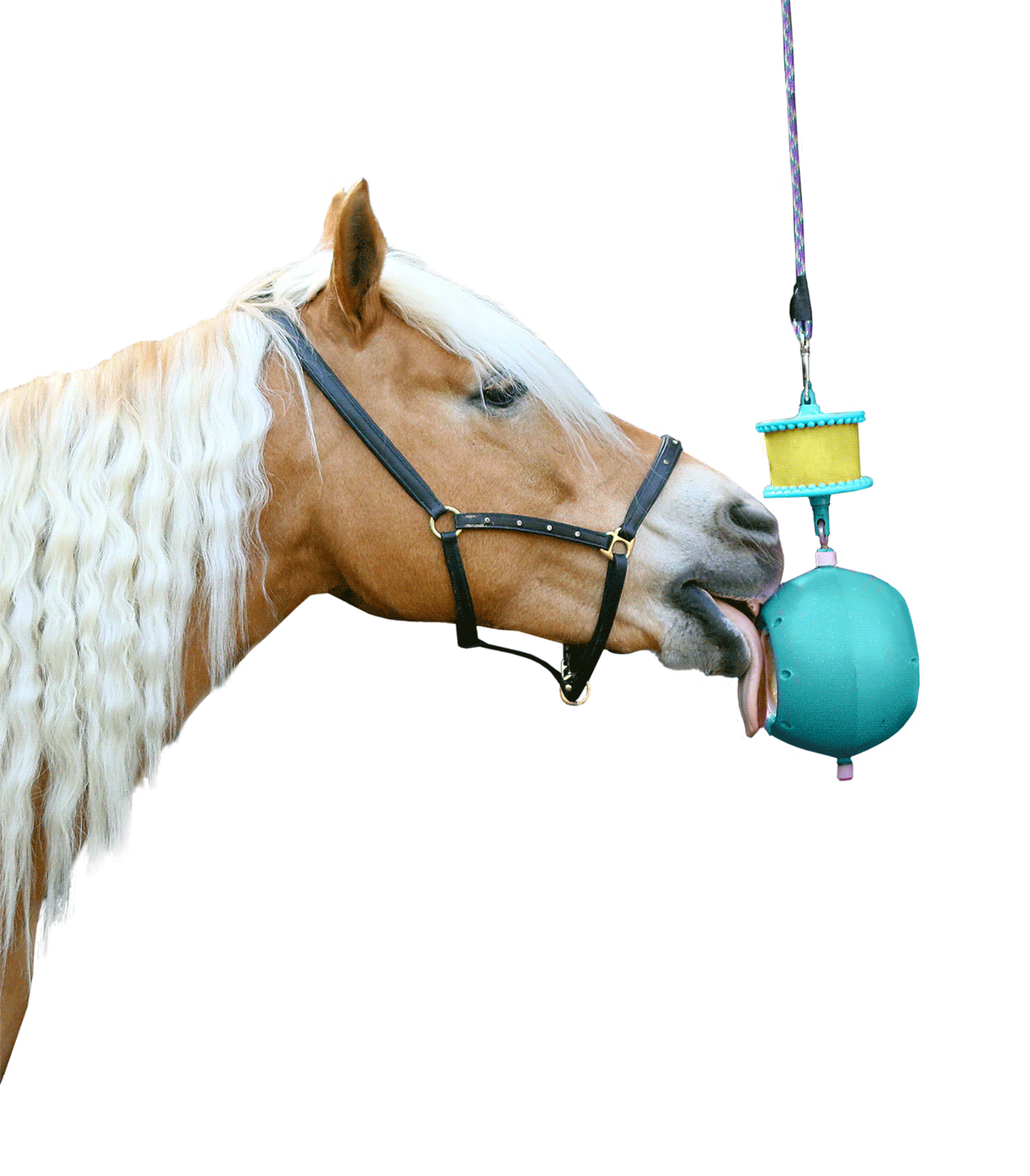 Likit Boredom Breaker