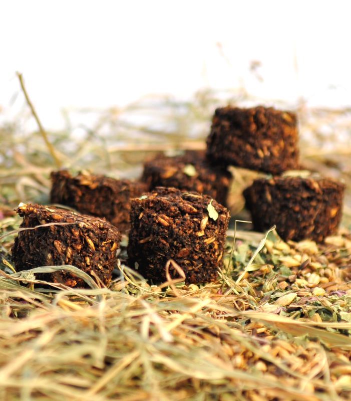 Stud Muffins collezione natalizia, 15 pz. Waldhausen