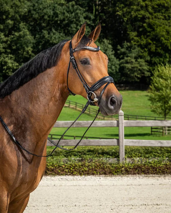 Testiera da dressage Medium Crank Noseband Bridle With Flash Dy'On