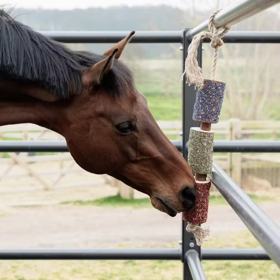 Wooden Relax Horse Toy