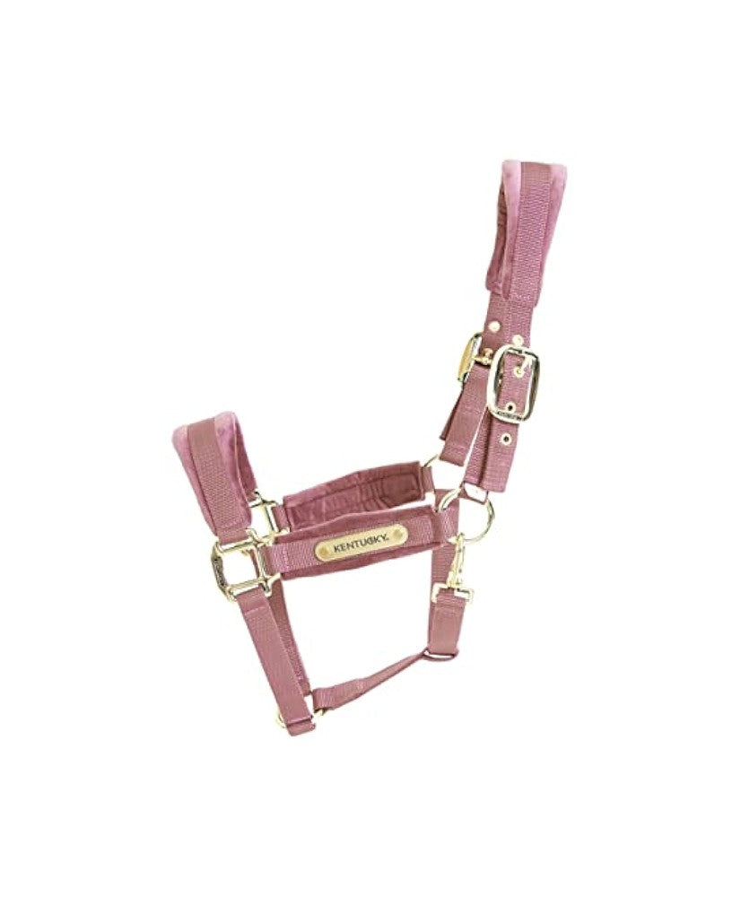 Cavezza in velluto Kentucky rosa cob