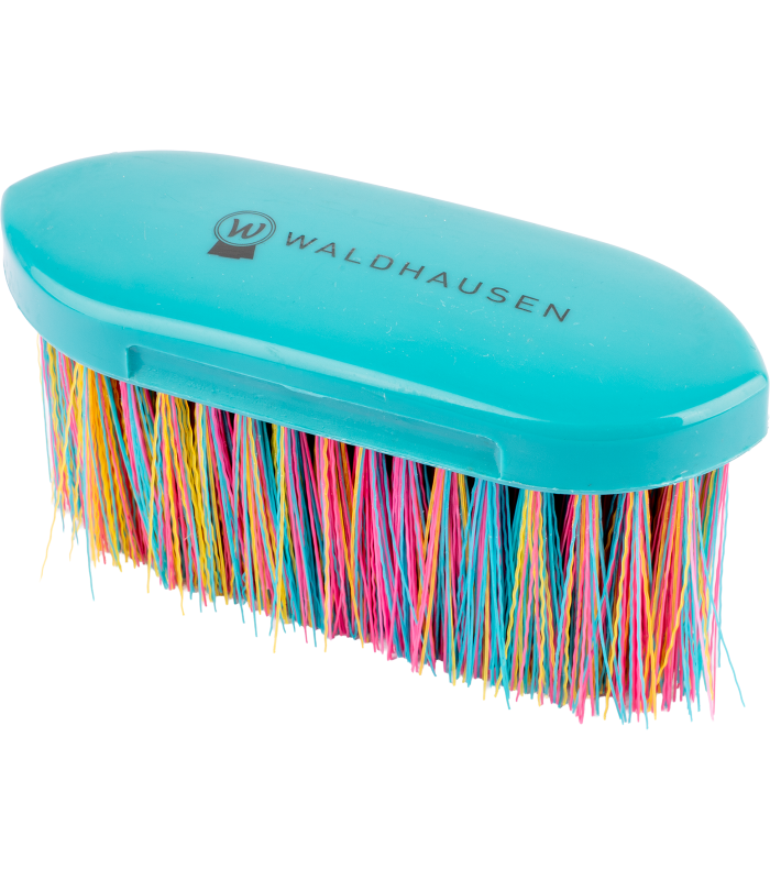 Brusca setole lunghe Rainbow Waldhausen