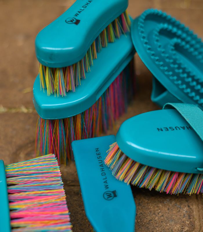 Brusca setole lunghe Rainbow Waldhausen