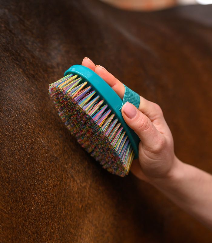 Brusca setole corte Rainbow Waldhausen