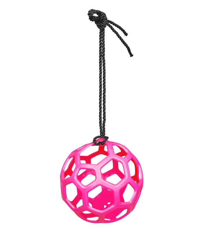 Gioco per cavallo palla di fieno Waldhausen