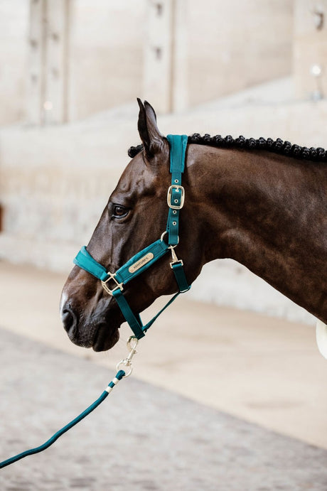 Lunghina basic Kentucky emerald 2m