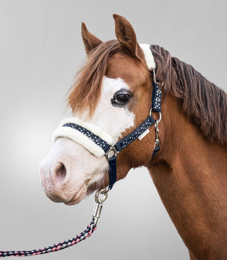 Set capezza Lucky Waldhausen