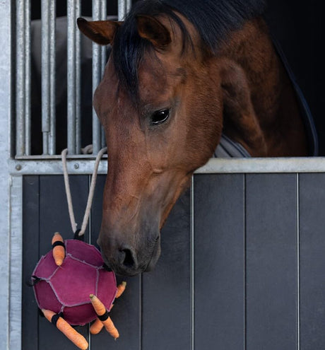 Palla giocattolo per cavallo QHP