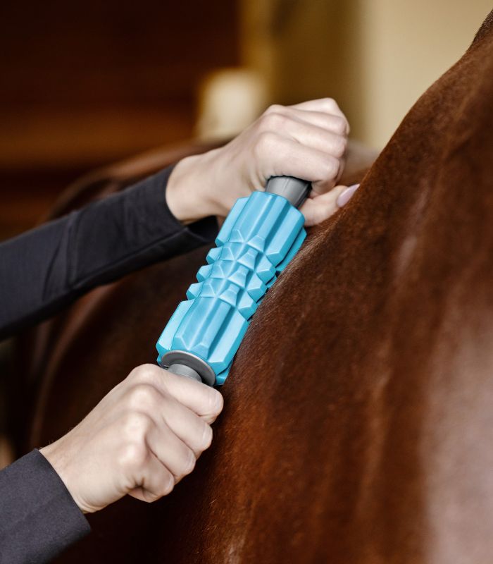 Massaggiatore Waldhausen Health + Care Fascial Massage Rollers