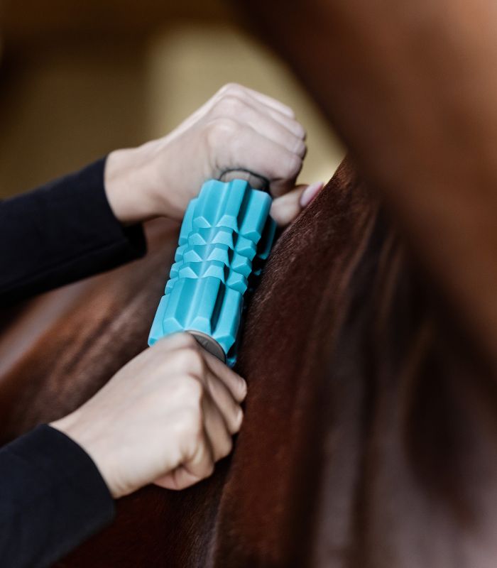 Massaggiatore Waldhausen Health + Care Fascial Massage Rollers