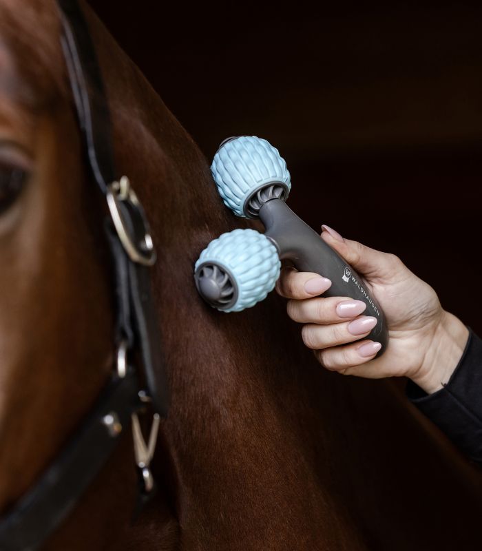 Massaggiatore Waldhausen Health + Care Comfort Creator