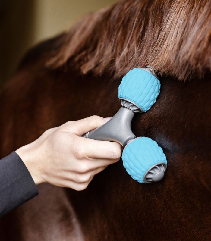 Massaggiatore Waldhausen Health + Care Comfort Creator