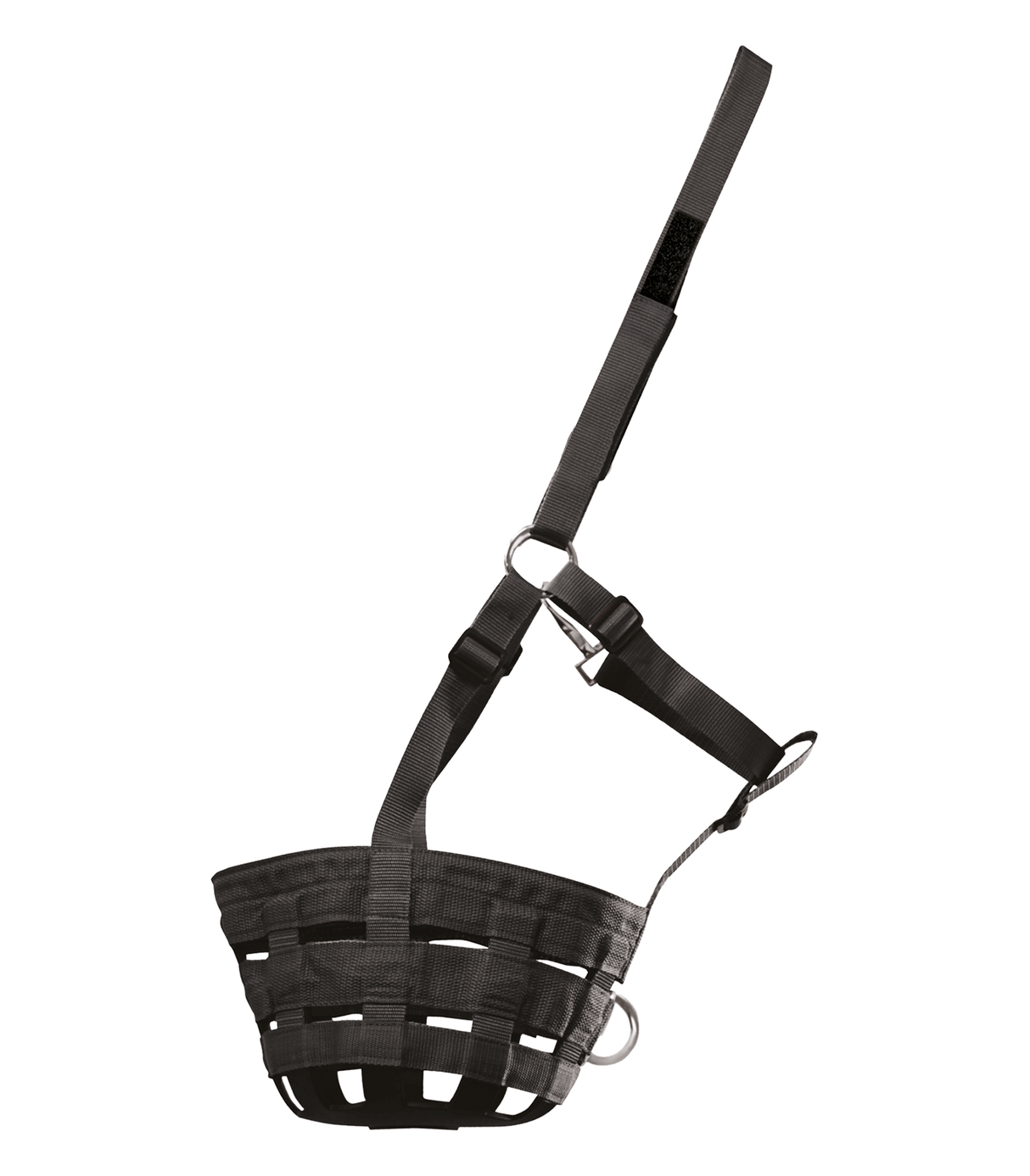Museruola Waldhausen