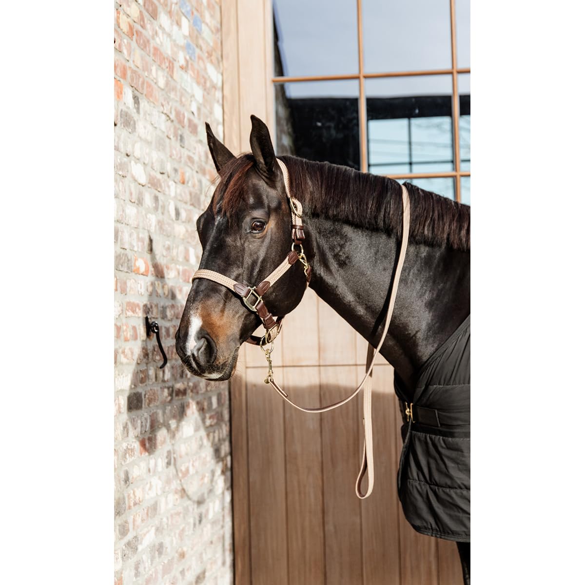 Lunghina da presentazione in nylon trecciato beige Kentucky