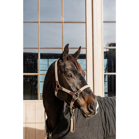 Lunghina da presentazione in nylon trecciato beige Kentucky