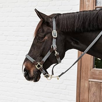 Cavezza modello Plaited Nylon grigia Kentucky Full