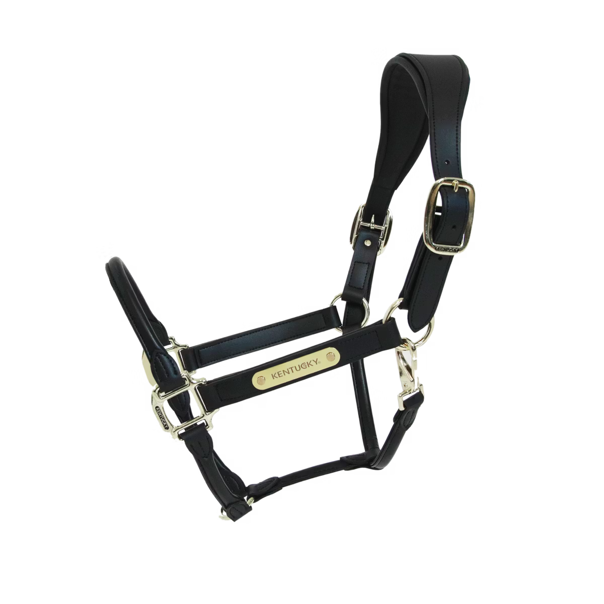 Capezza anatomica in cuoio Kentucky