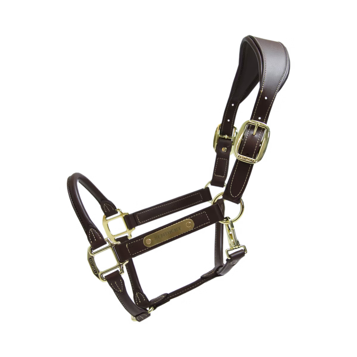 Capezza anatomica in cuoio Kentucky