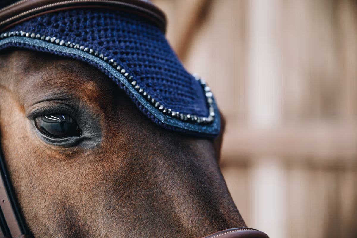 Completo PONY sottosella jumping Glitter Stone+cuffia Wellington Glitter Band Kentucky