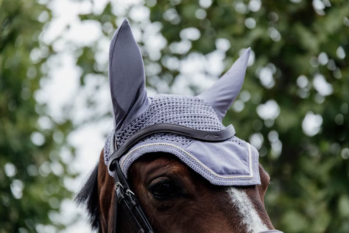 Cuffia Wellington Velvet Kentucky