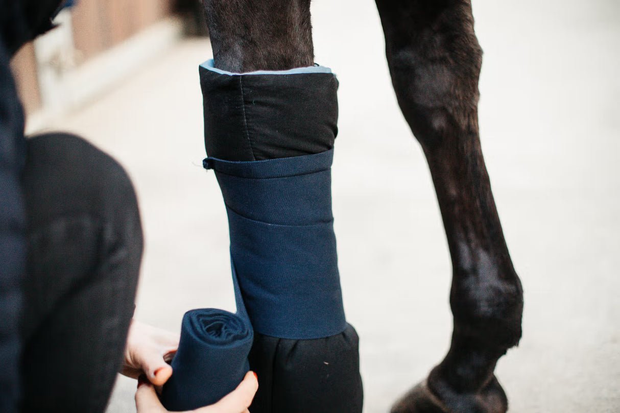 Magnetic Bandage Pads Recuptex set of 2 Kentucky