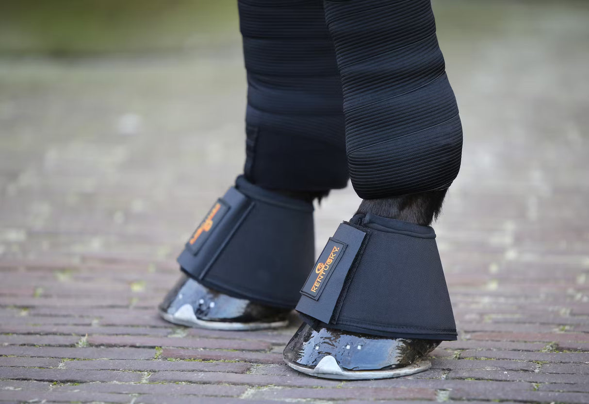 Paraglomi Overreach Solimbra Kentucky