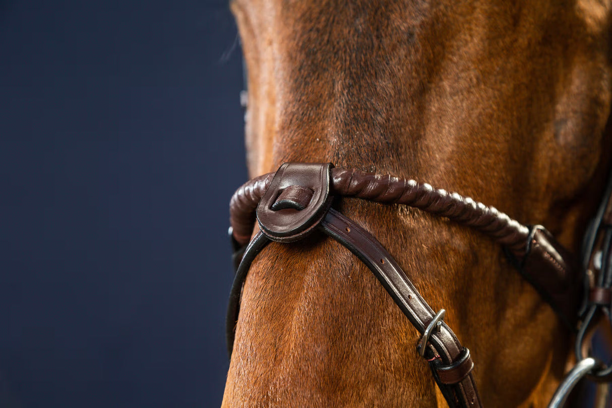 Chiudibocca Flash da 1/2" con 2 attacchi rimovibili Dy'on marrone