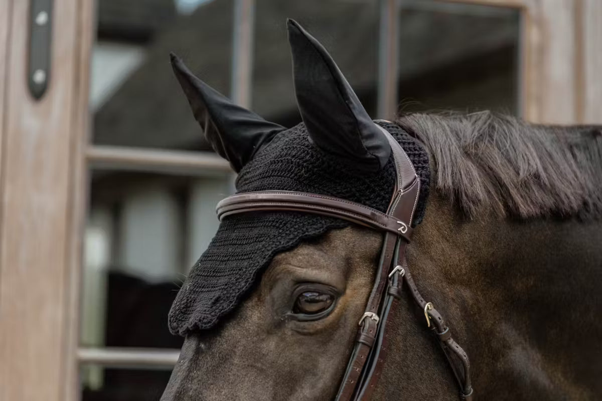 Cuffia Wellington Wave Kentucky