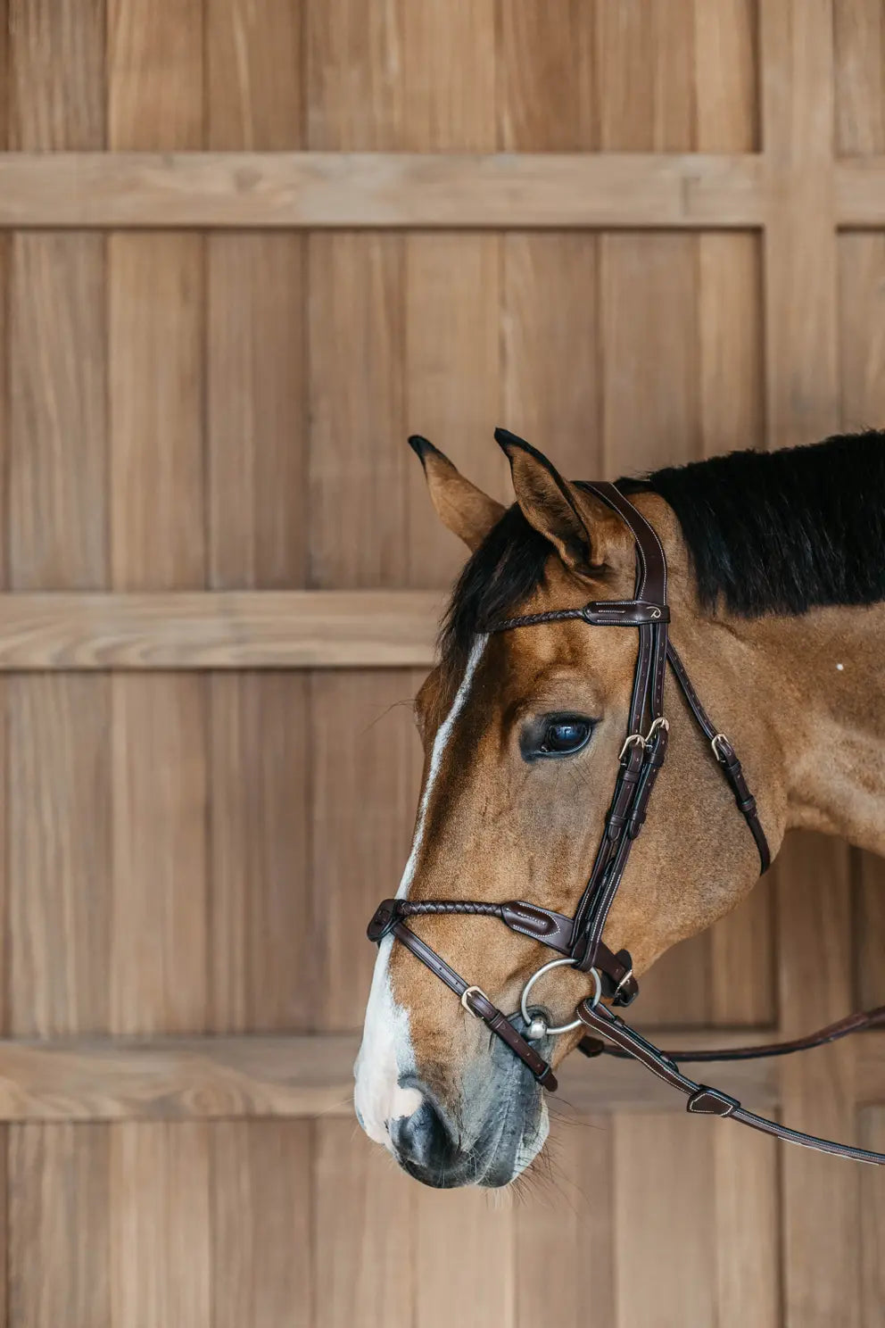 Testiera Braided Flash Noseband Dy'On marrone