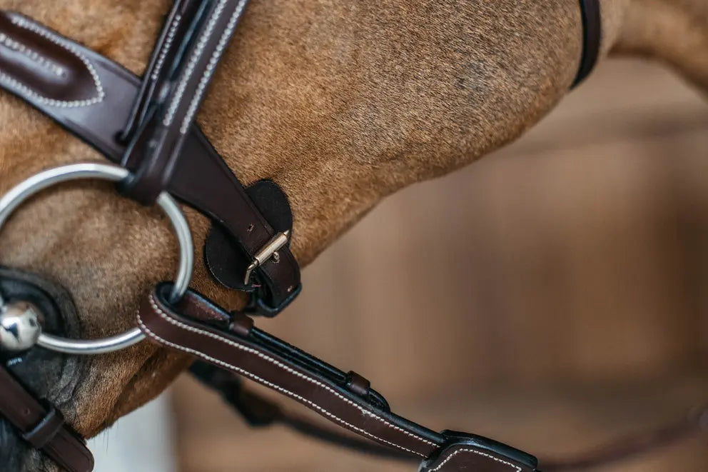 Testiera Braided Flash Noseband Dy'On marrone