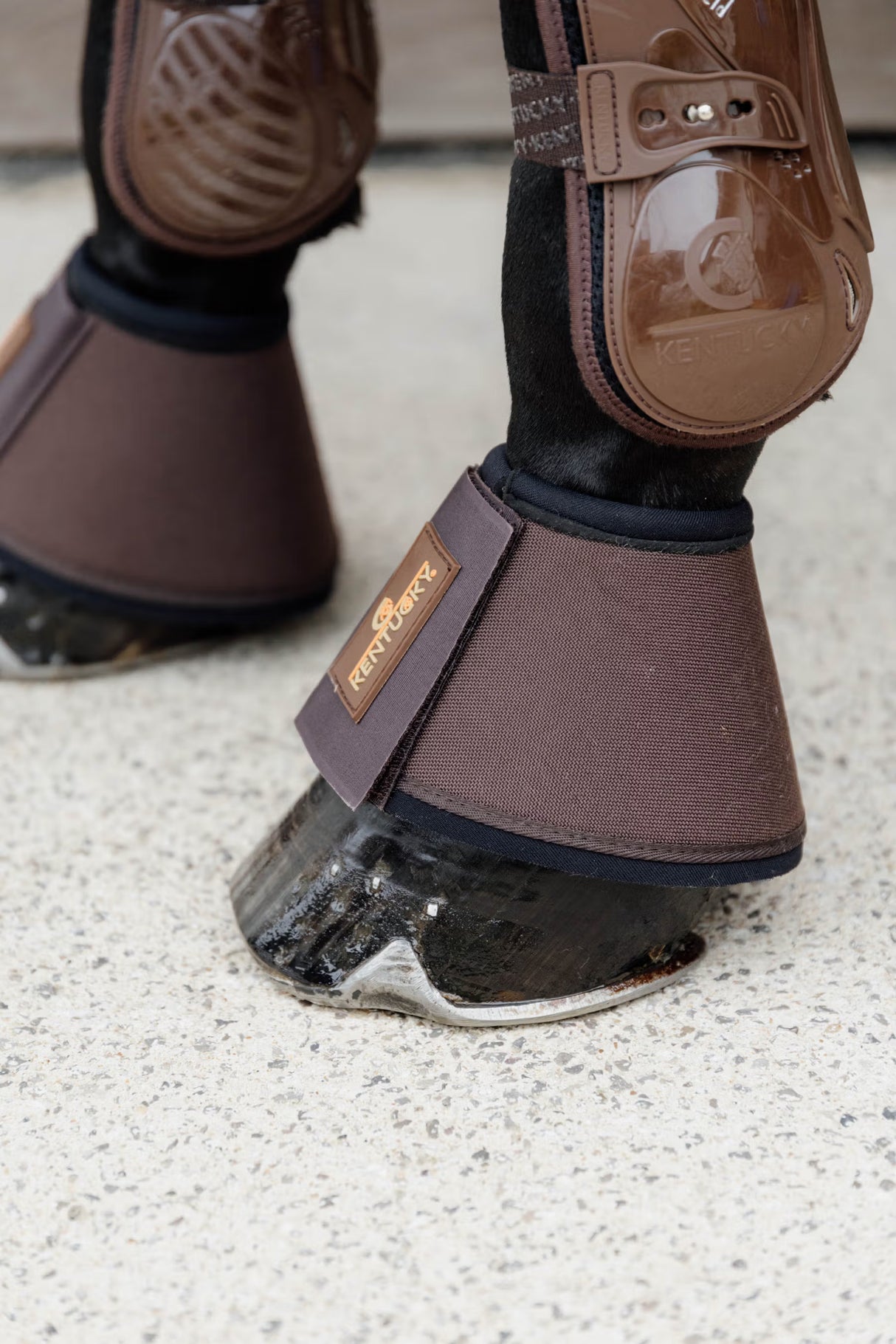 Paraglomi Overreach Solimbra Kentucky