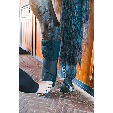 Sottofasce avvolgenti Kentucky 50 x 50cm set 4pezzi