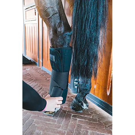 Sottofasce avvolgenti Kentucky 50 x 50cm set 4pezzi