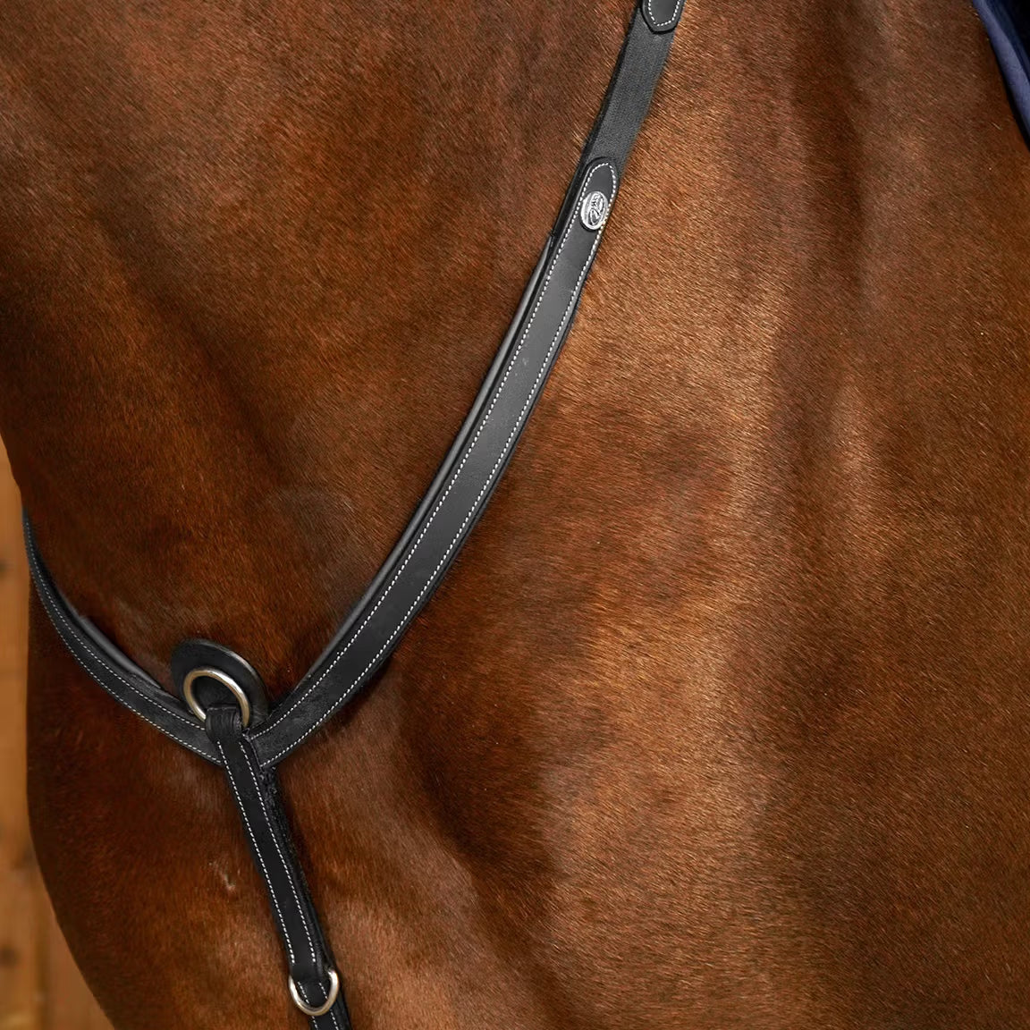 Pettorale Bridge Breastplate Dy'on nero