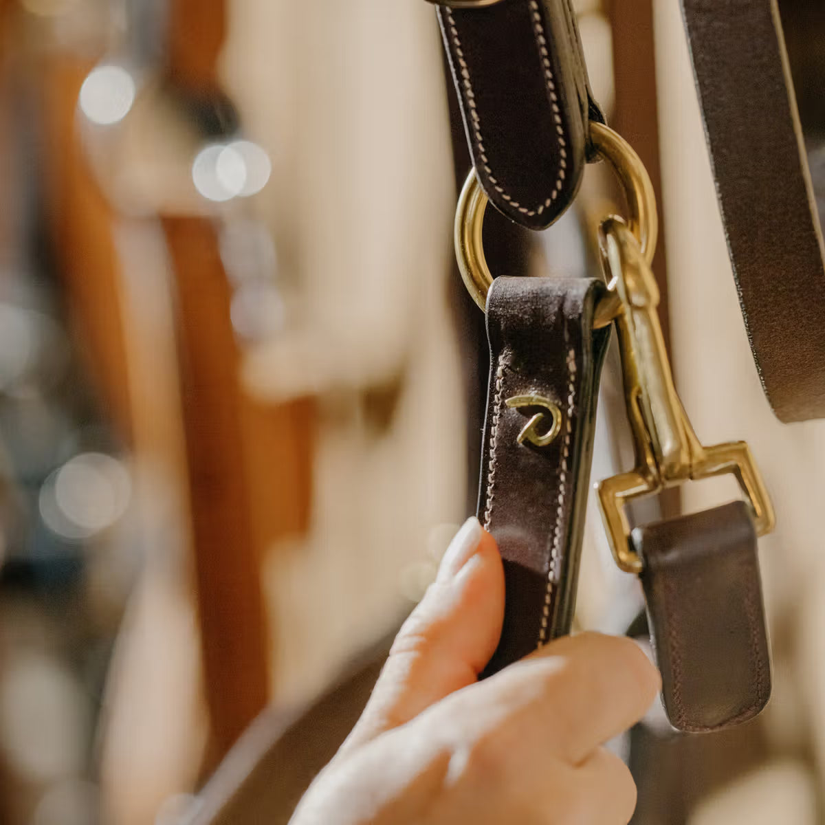 Cavezza in cuoio Dy'On marrone