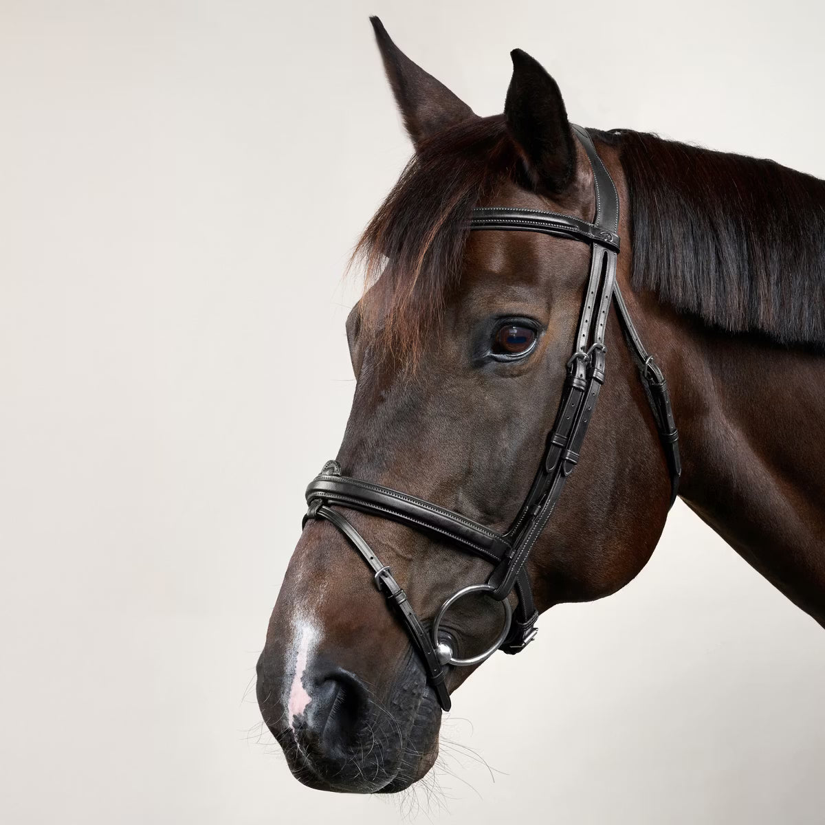 Testiera Flash Dy'On nero