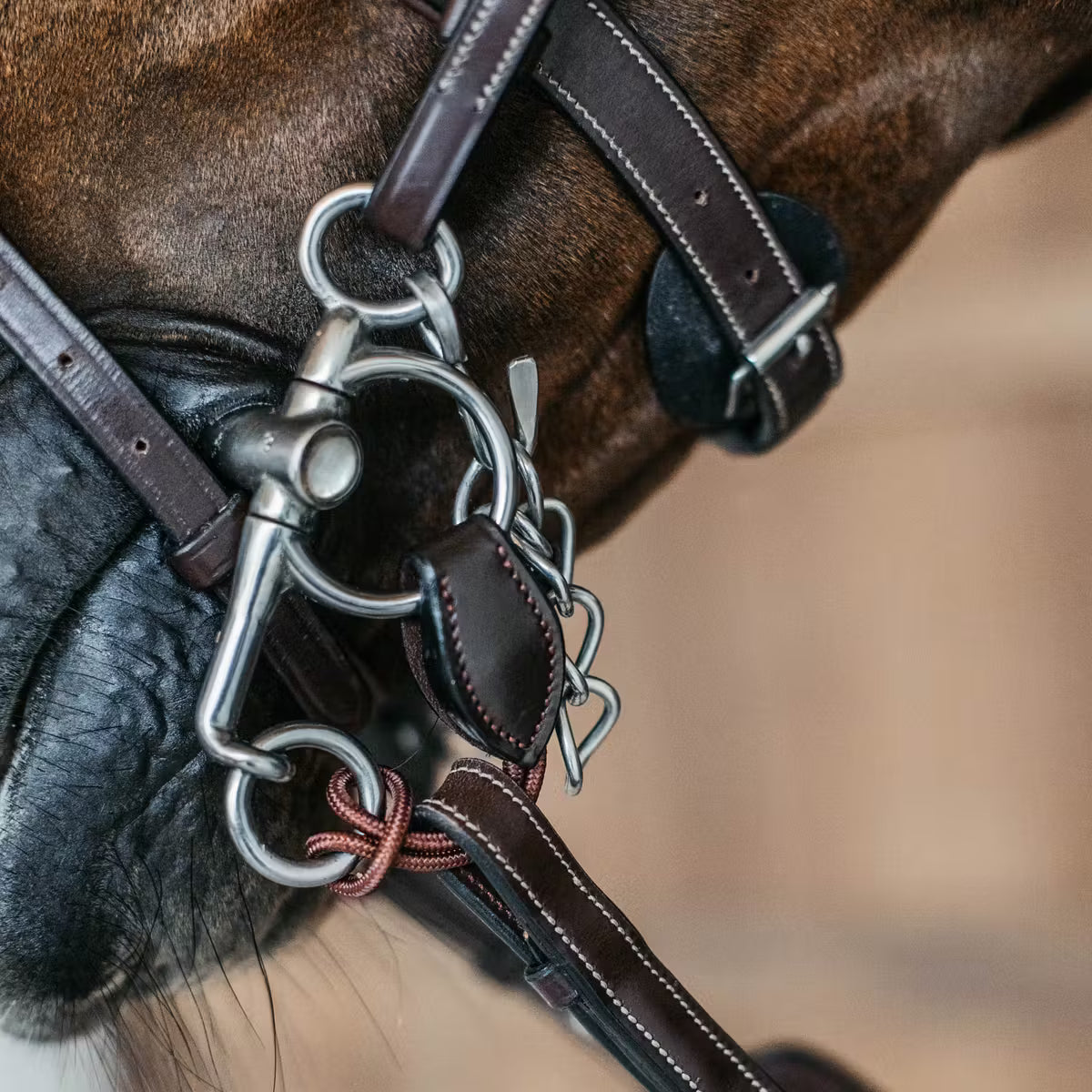 Ponti corti per il pelham Dy'On