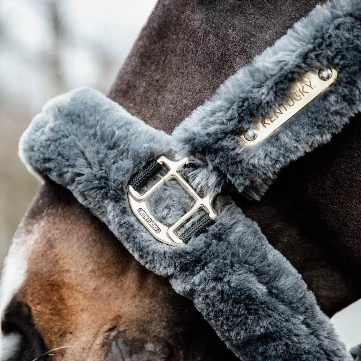 Capezza Sheepskin Shipping Kentucky