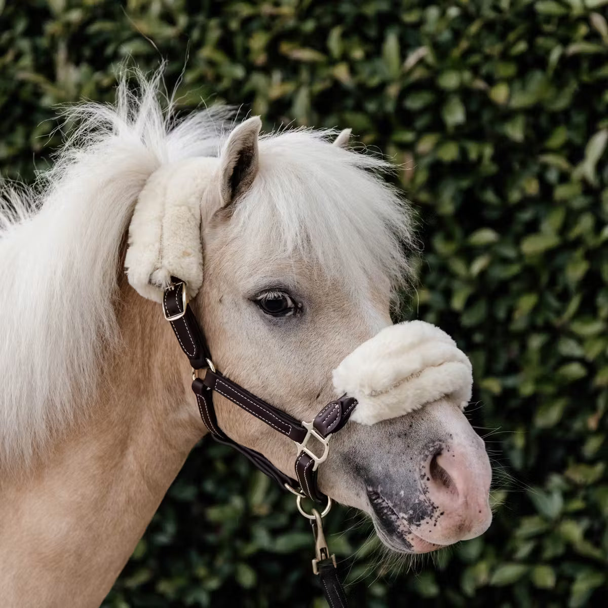 Capezza pony in cuoio con pelliccia Kentucky