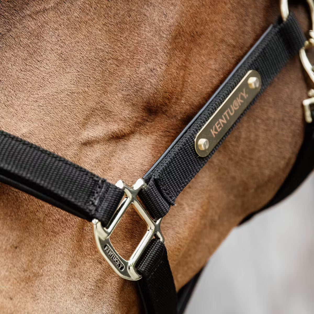 Capezza Nylon Anatomic Kentucky nero