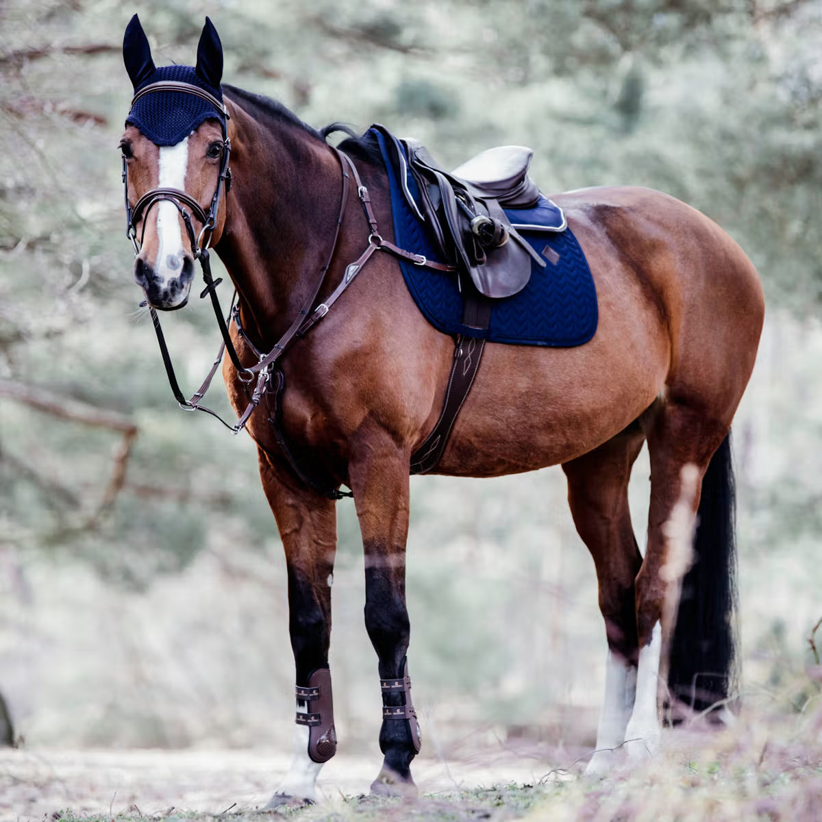 Sottosella Jumping Fishbone Kentucky