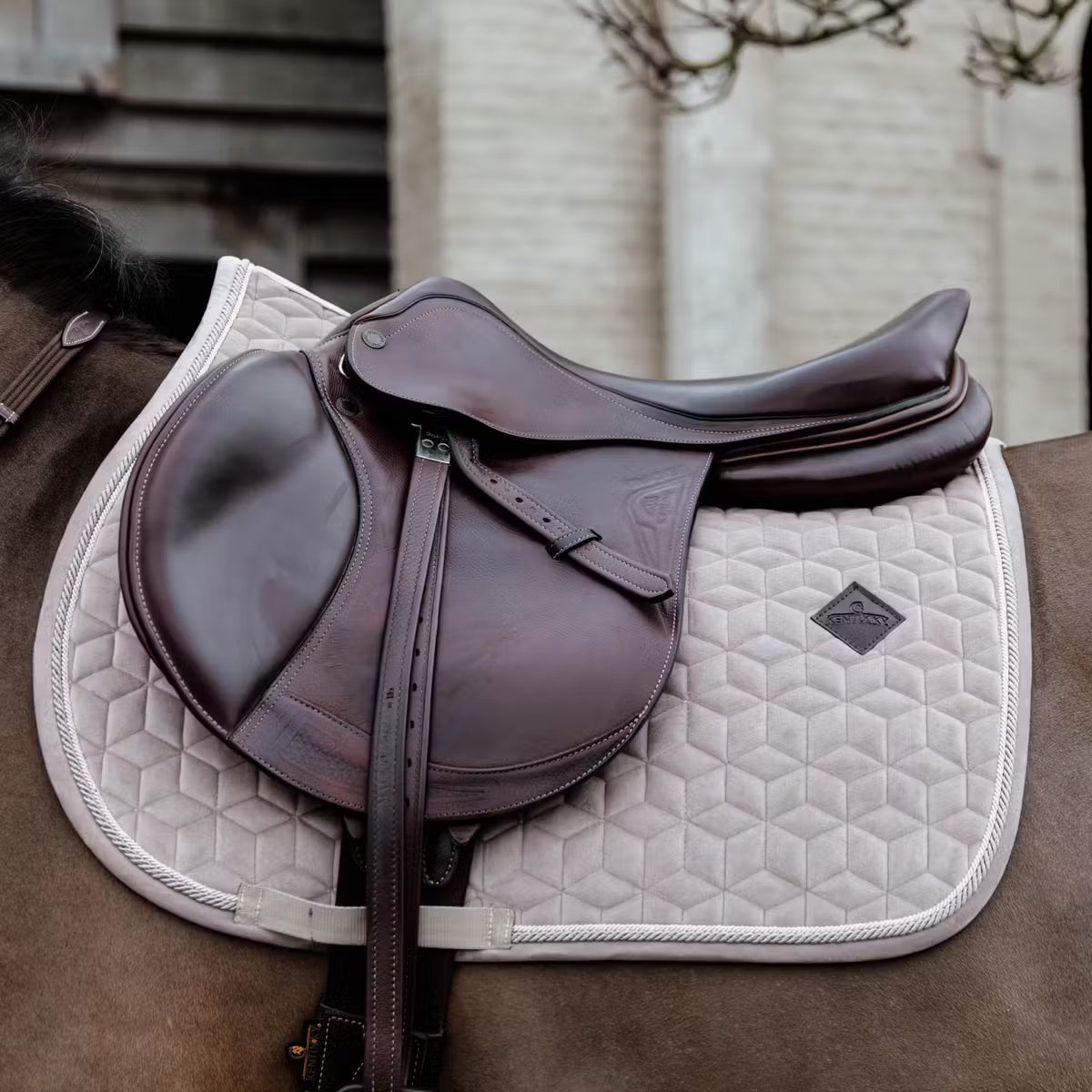 Sottosella Jumping Basic Velvet Kentucky