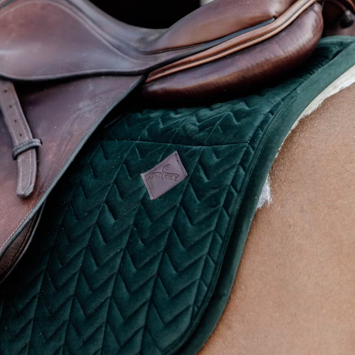 Sottosella Jumping Skin Friendly Velvet Kentucky