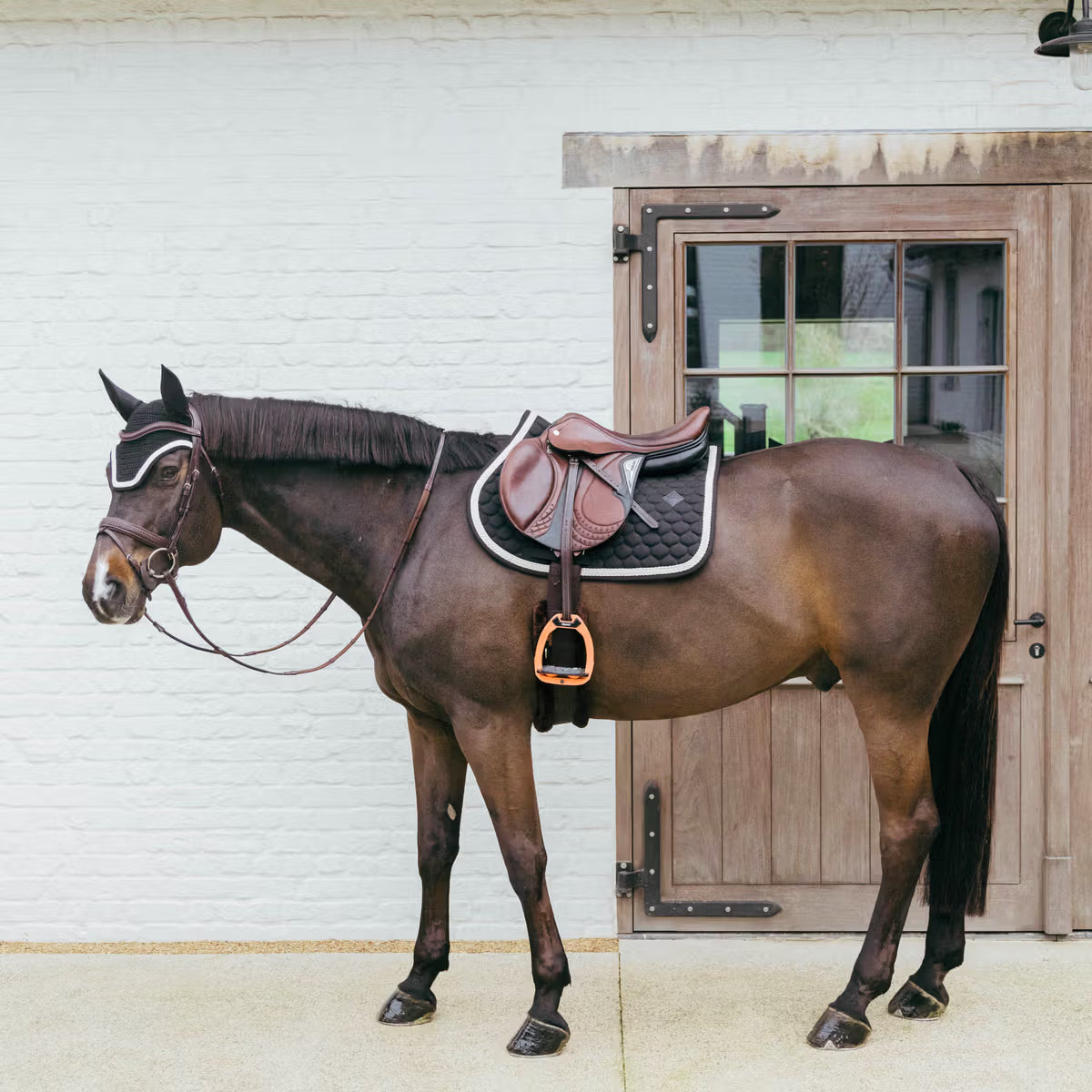 Sottosella Jumping Plaited Cord Jumping Kentucky