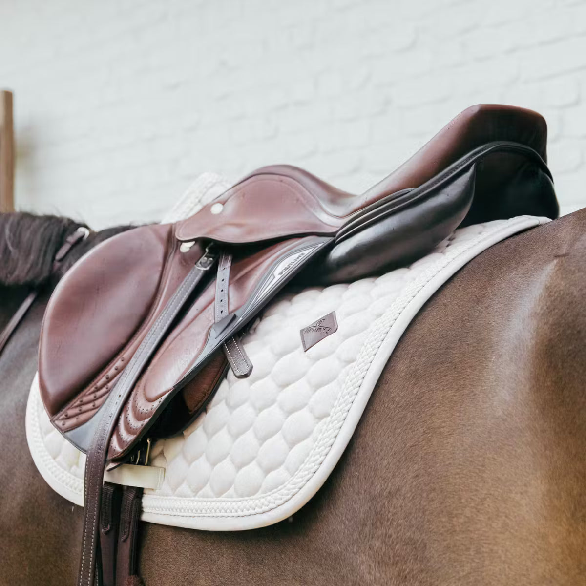 Sottosella Jumping Plaited Cord Jumping Kentucky